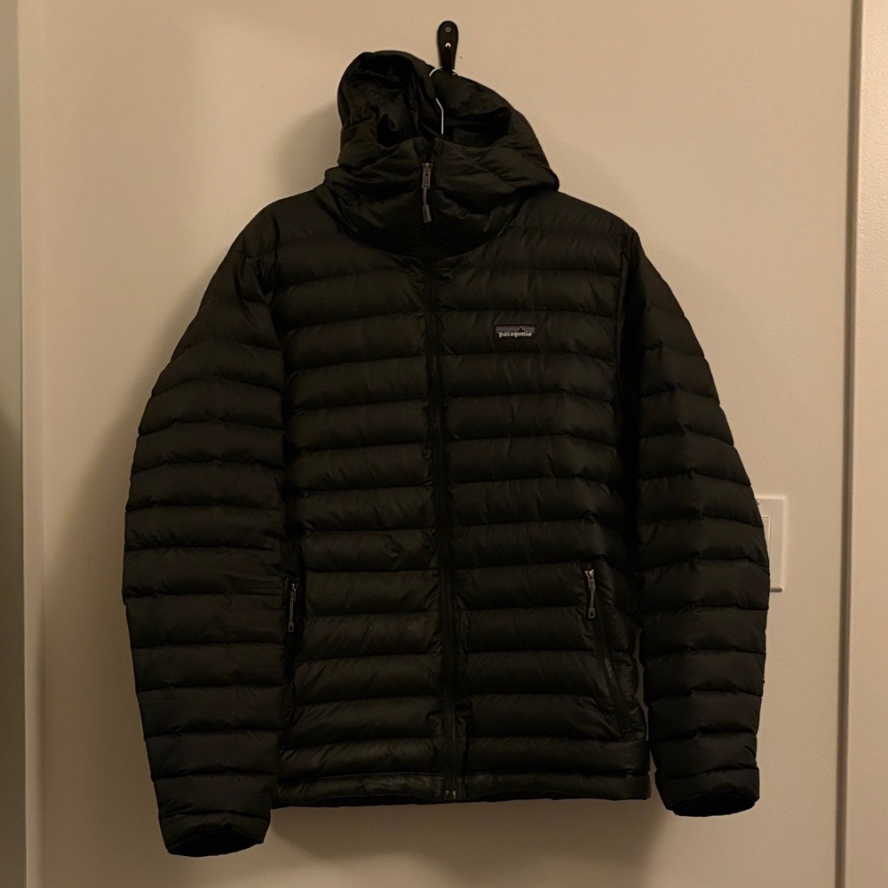 Patagonia Men’s Down Sweater Hoody (L, Black)